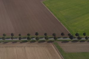 Boerderij