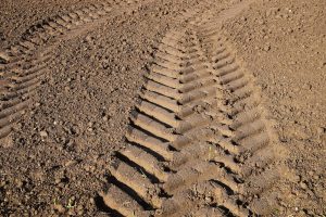 Agro-Ecologie