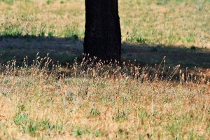 landelijke gebieden op zoek te gaan naar wateroplossingen