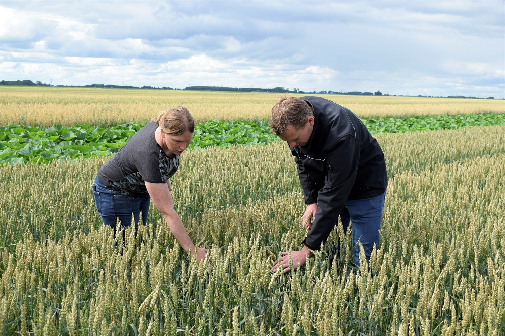 “Potentie tonen op gebied van biodiversiteit, opbrengst en kwaliteit”