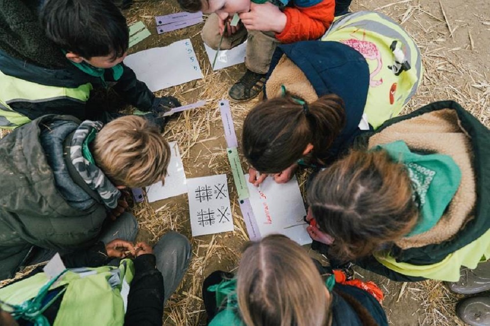 Boerderleren: leerlingen groeien op de boerderij