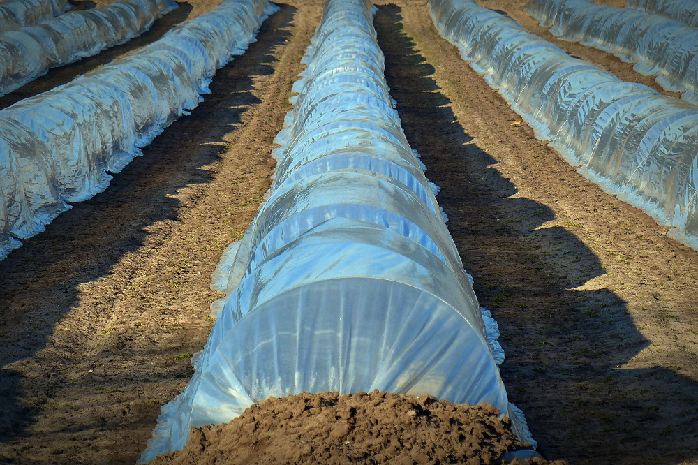 VLM dingt mee voor tweede termijn Europees agro-innovatiepartnerschap (EIP-AGRI)