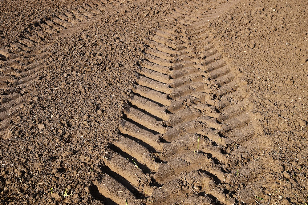 Klimaatgerichte landbouw zal meststoffenverliezen in de bodem beperken