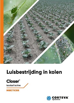 Luisbestrijding in kolen 