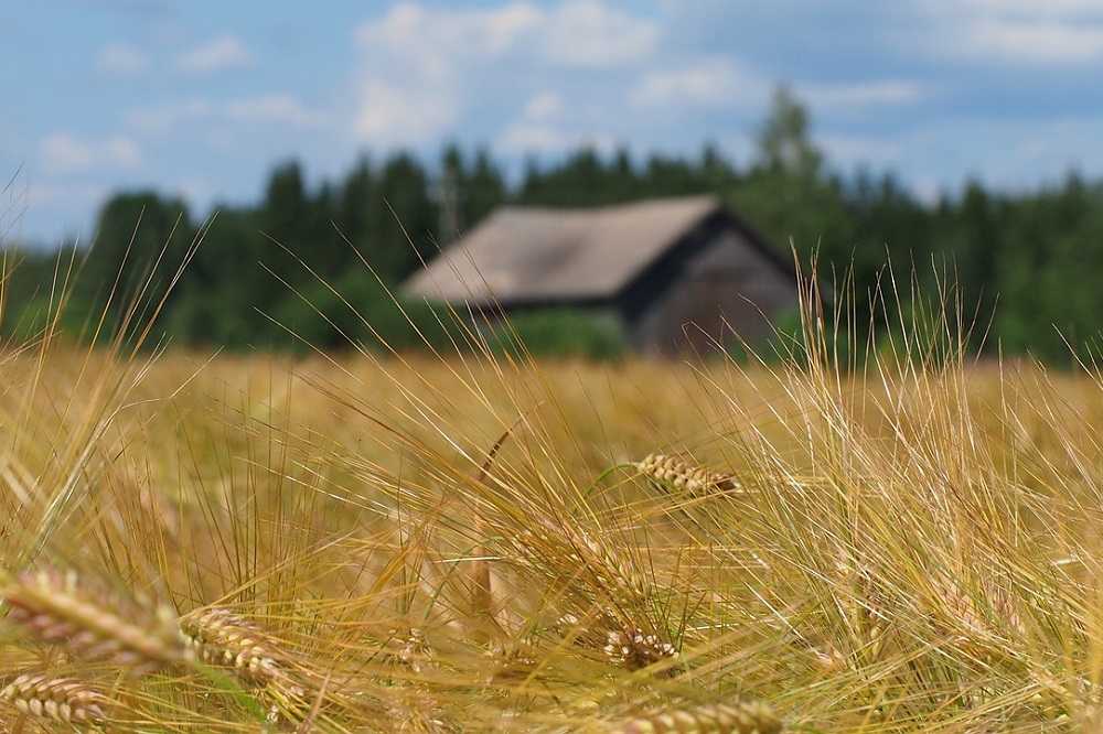 Vlaamse milieudiensten fuseren