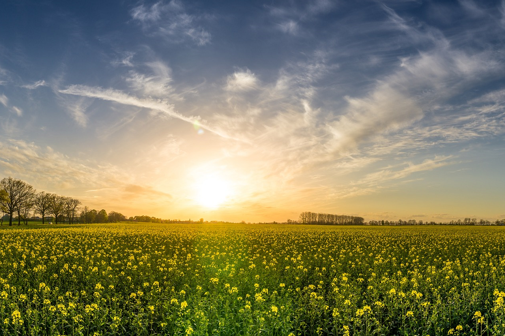 Vlaamse bio-oppervlakte groeide in 2021 tot bijna 10.000 hectare