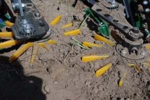 Mechanische onkruidbestrijding in gangbare teelt