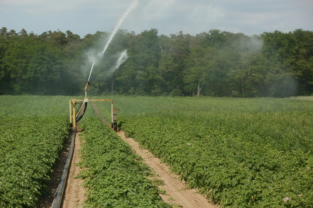 Drie landbouwpercelen in Arendonk houden binnenkort beter water vast