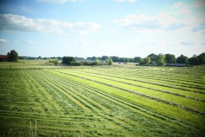 Landbouwers getroffen door stikstofakkoord dreigen in de kou te blijven