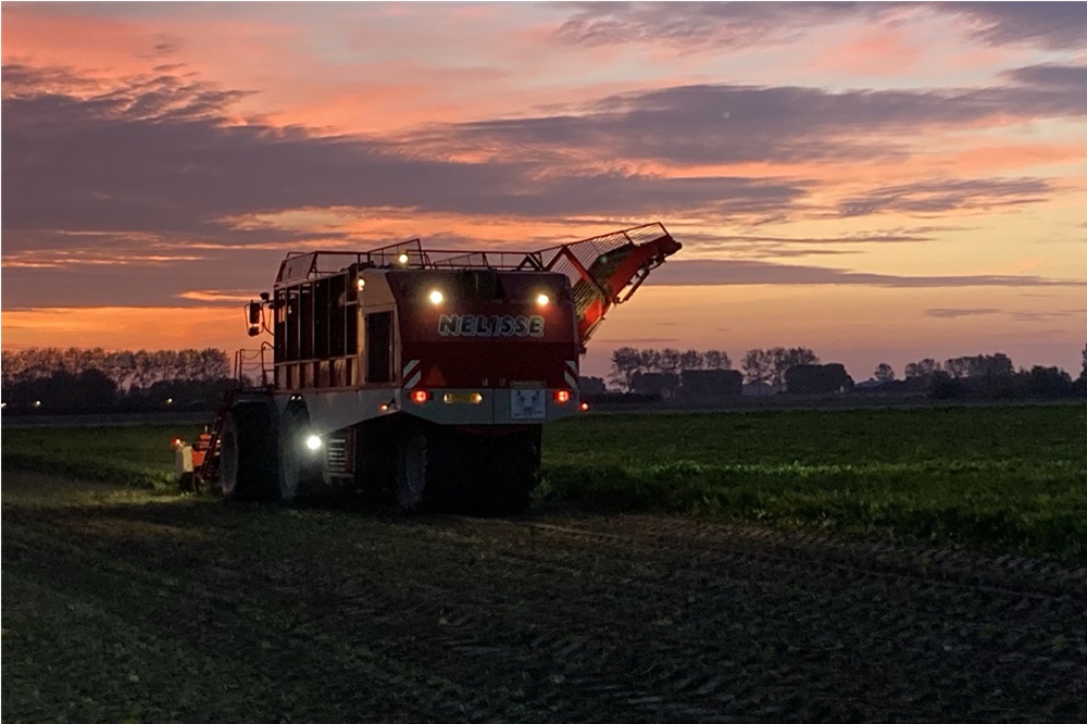 Oogsten na een bijzonder groeiseizoen