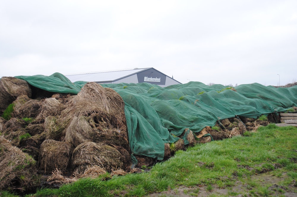 Studie: 'Geen risico op uitspoeling na toediening Compost-O'