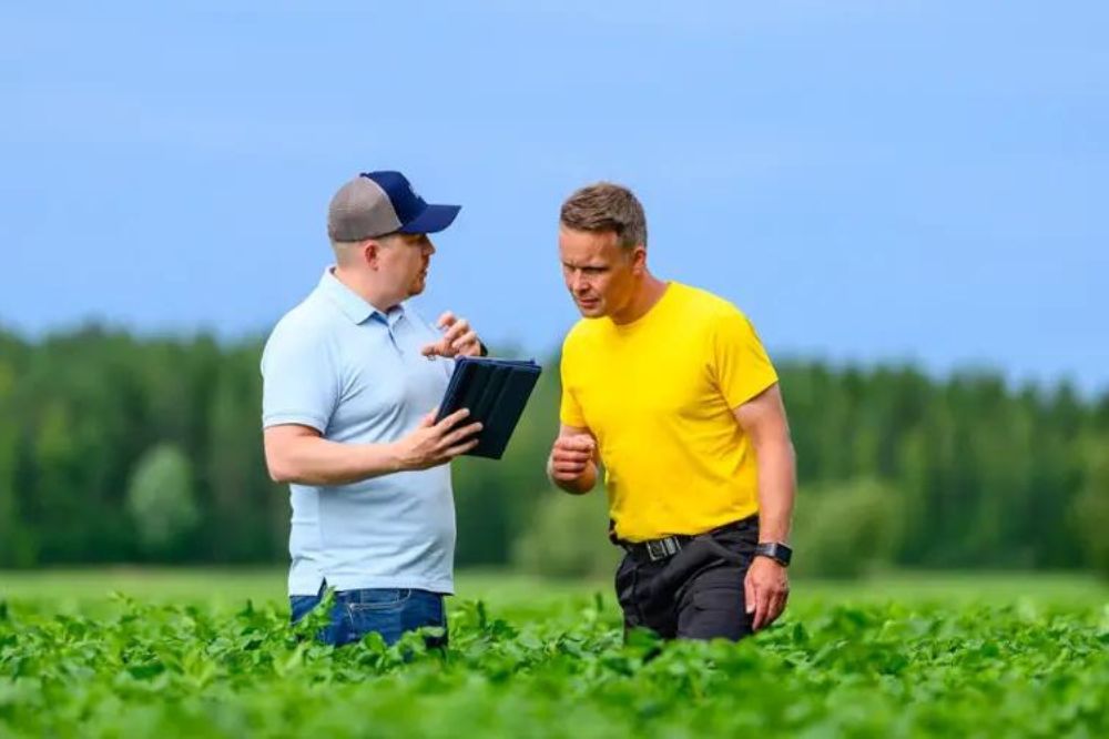 PepsiCo Europe en Yara bundelen krachten om productie gewassen te verduurzamen
