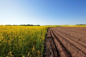 Landbouwconjunctuurindex stijgt naar hoogste niveau sinds 2017