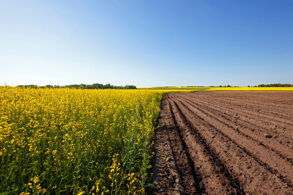 Landbouwconjunctuurindex stijgt naar hoogste niveau sinds 2017