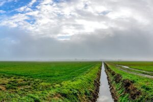 Kijk na of u dit seizoen een beschermingsstrook van vijf meter moet aanleggen