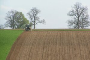 Tot 70% van kosten voor advies of vorming terugbetaald via kennisportefeuille