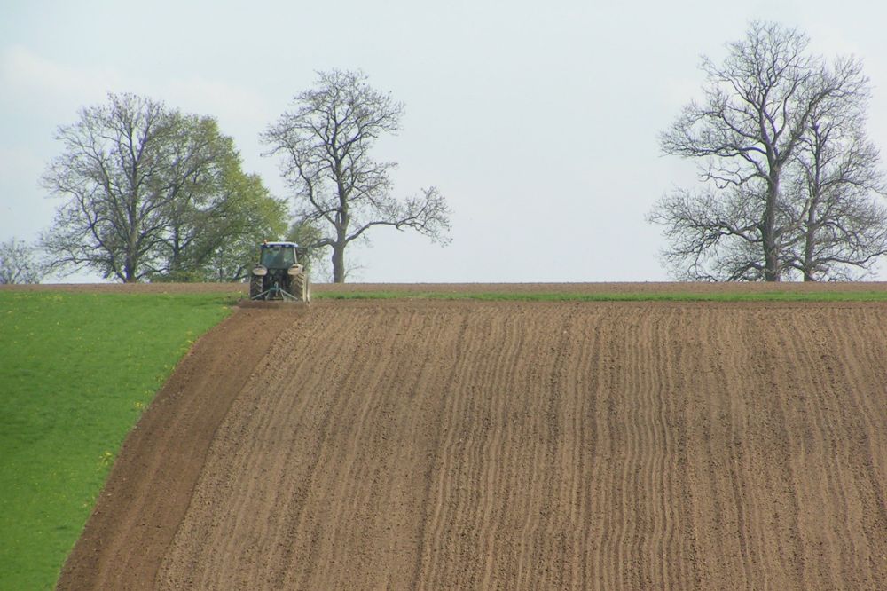 Tot 70% van kosten voor advies of vorming terugbetaald via kennisportefeuille