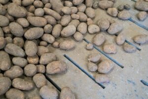 Kisten- of bulkbewaring: een praktische keuzehulp