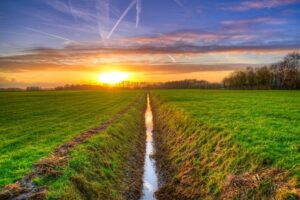 Historisch laag nitraatoverschot in 2024: gunstig signaal voor waterkwaliteit