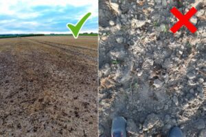 Binnenkort stalmest uitrijden? Neem foto's via LV-AgriLens als bewijs