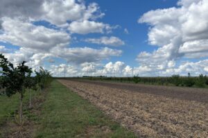 Landelijke Demodagen: zo gaat natuurinclusieve landbouw in de praktijk 