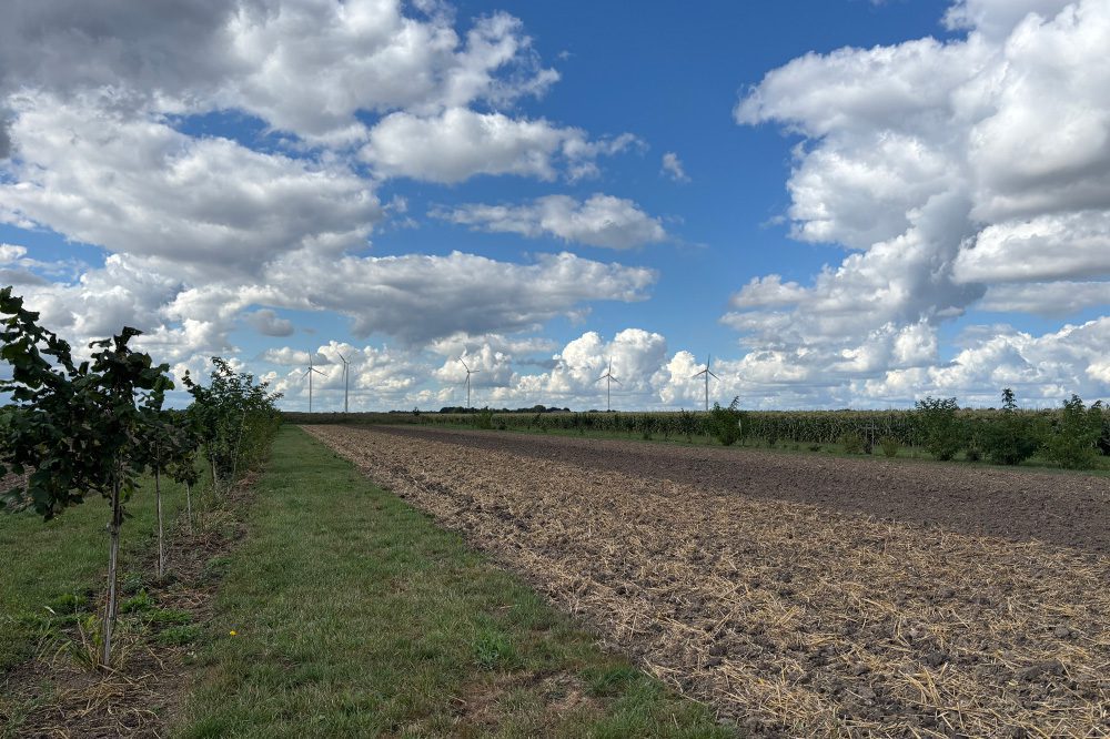 Landelijke Demodagen: zo gaat natuurinclusieve landbouw in de praktijk 
