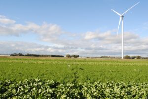 Zorg voor voldoende bodembedekking in de winter