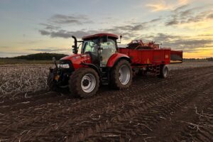 Cardyma: de koning van het wratziekte-gebied