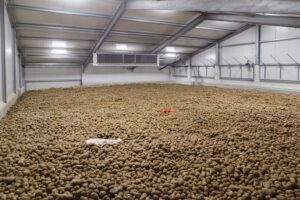 Stand van het gewas: In de bewaring, op het land en in de fabriek