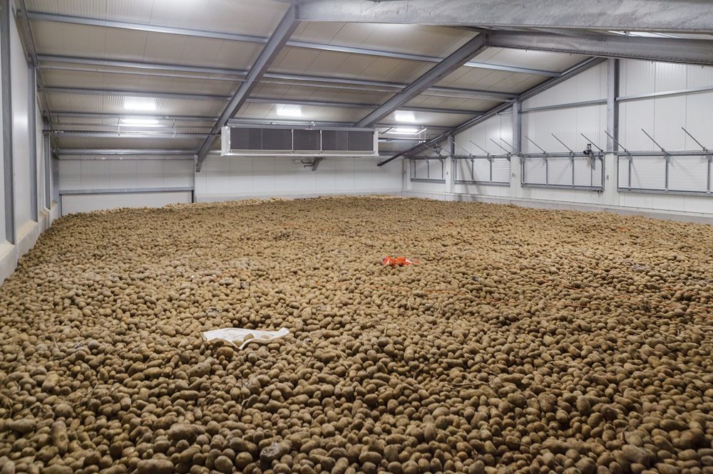 Stand van het gewas: In de bewaring, op het land en in de fabriek