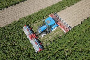 "Je moet durven innoveren"