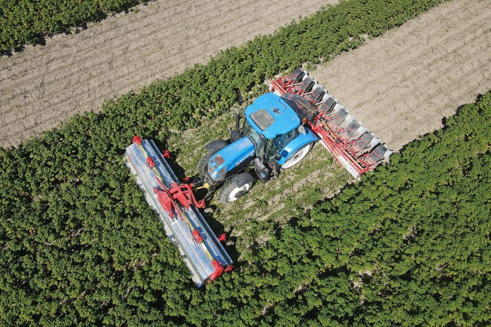 "Je moet durven innoveren"