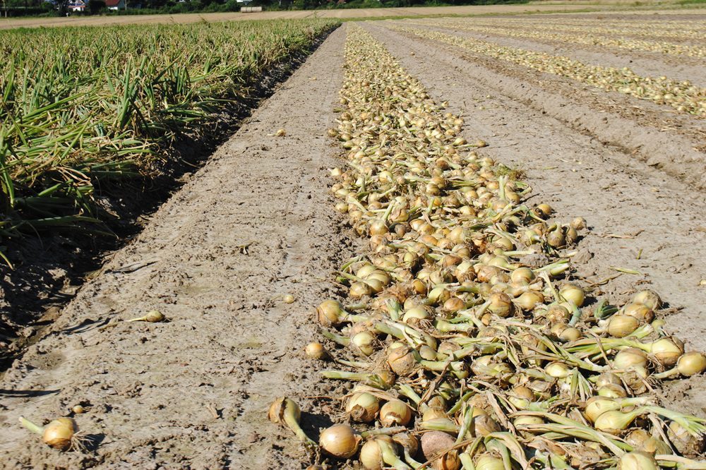 Zet de BBB-factoren in de agenda