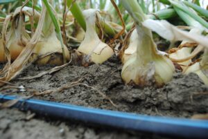 "Zelf eet je toch ook graag drie keer per dag"