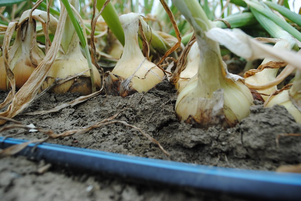 "Zelf eet je toch ook graag drie keer per dag"