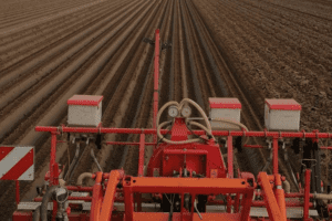 Eerste wortelen al ingezaaid 