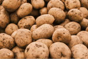 resistentie aardappelmoeheid