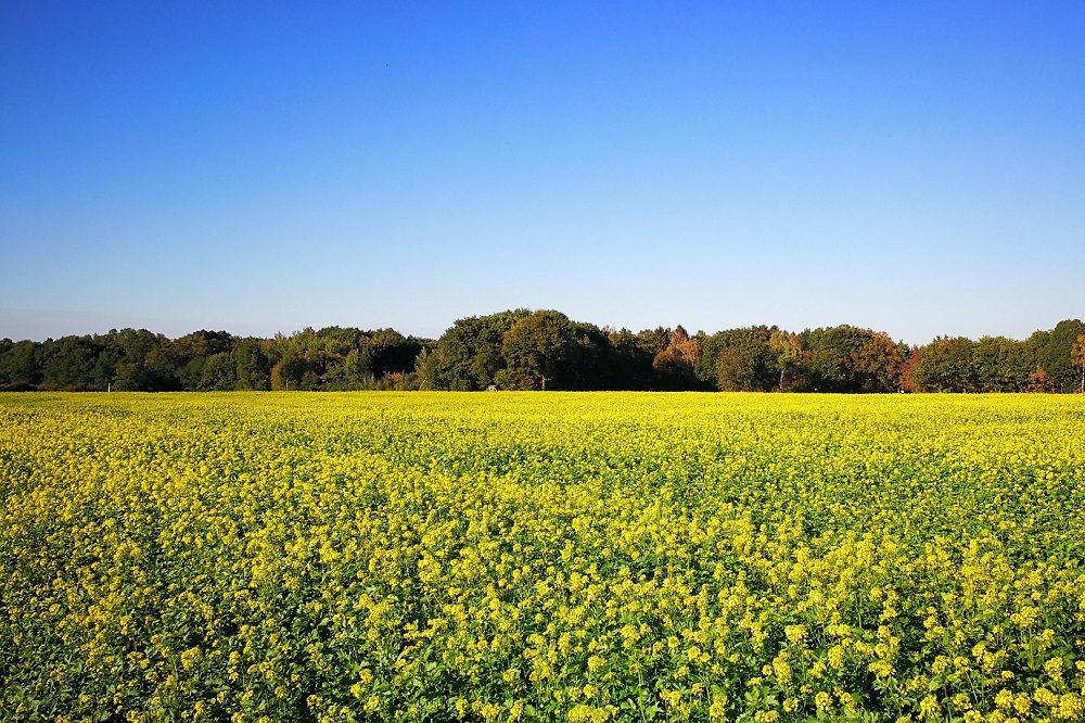 Verzamelaanvraag 2026 schiet uit de startblokken