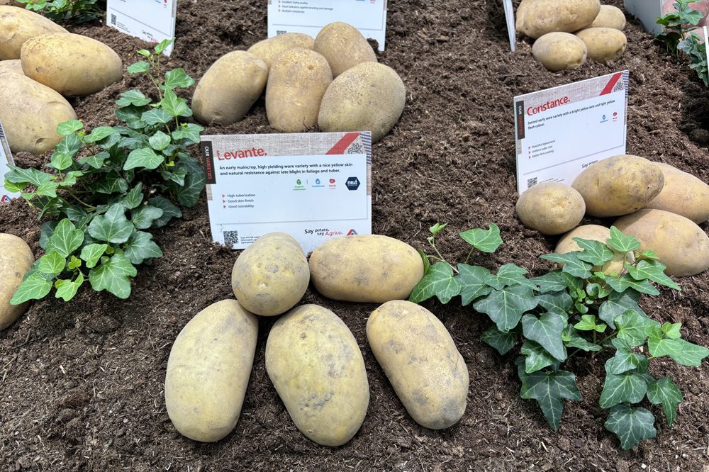 Gestapelde resistentie in ontwikkeling bij Agrico