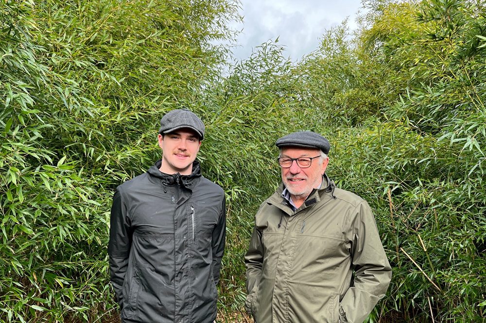 Bamboe als nieuwe teelt: weinig gewasbescherming en veel afzetmogelijkheden