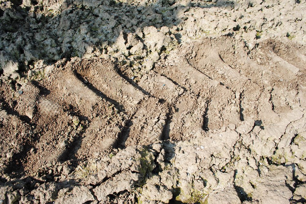 "De kwaliteit van de bodem bepaalt de opbrengst"