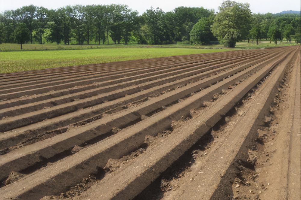 Drempels bij ruggenteelten zijn effectieve erosiereducerende maatregel