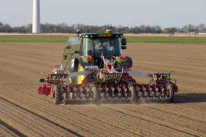 Heyboer: Precisiewerk met moederuien zaaien voor de zaadvermeerdering