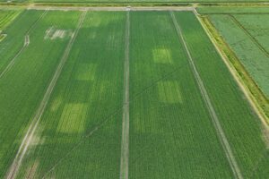 Biedt BOS de doorbraak waar teelten op wachten?