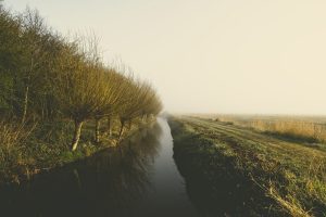 Vergeet beschermingsstroken langs waterlopen niet bij aanleg teelten