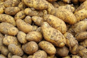 Aardappel blijft troef, maar vraagt blijvende promotie en kennisdeling