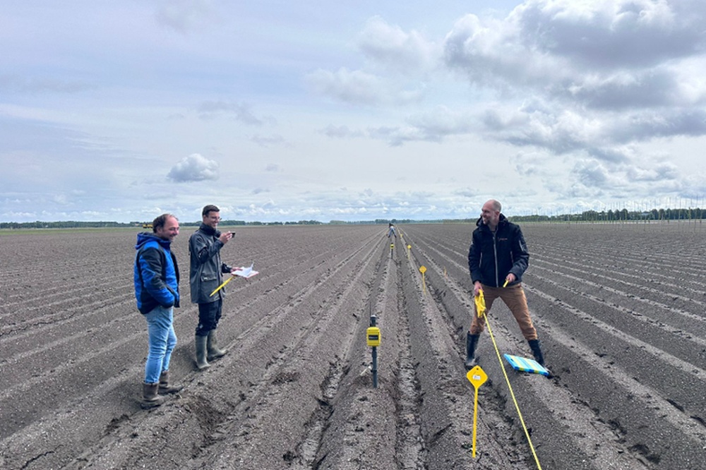Boeren in drie provincies starten onderzoek: is agroforestry praktijkrijp?