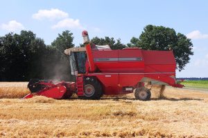 Wintergerst vaste schakel in bouwplan bij Tijsseling