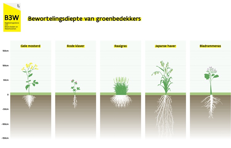 Schermafbeelding 2026-07-20 103810.750