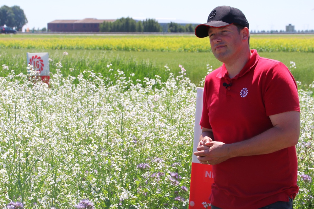 "Bladrammenas is kampioen in stikstofopname"